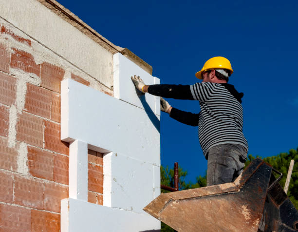 Best Local Insulation Services  in Merriam, KS