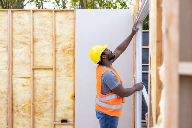 Best Wall Insulation Contractor  in Merriam, KS