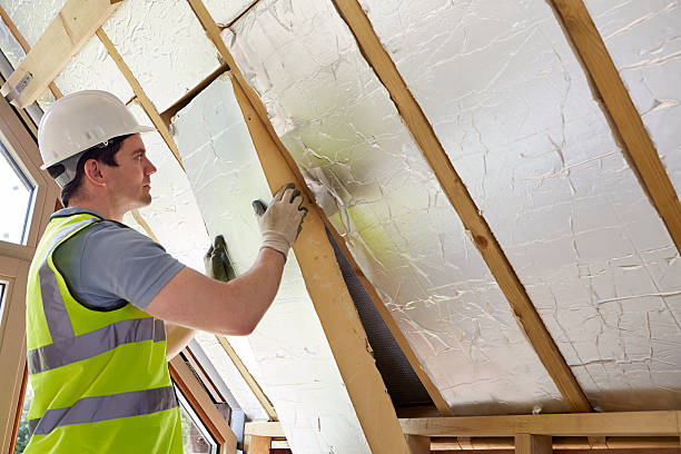 Best Insulation for New Construction  in Merriam, KS